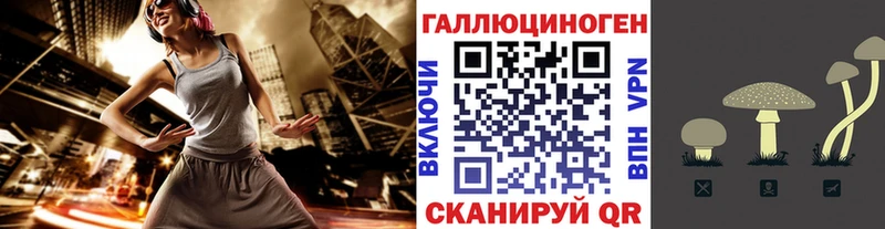 Галлюциногенные грибы Psilocybe  Красногорск 